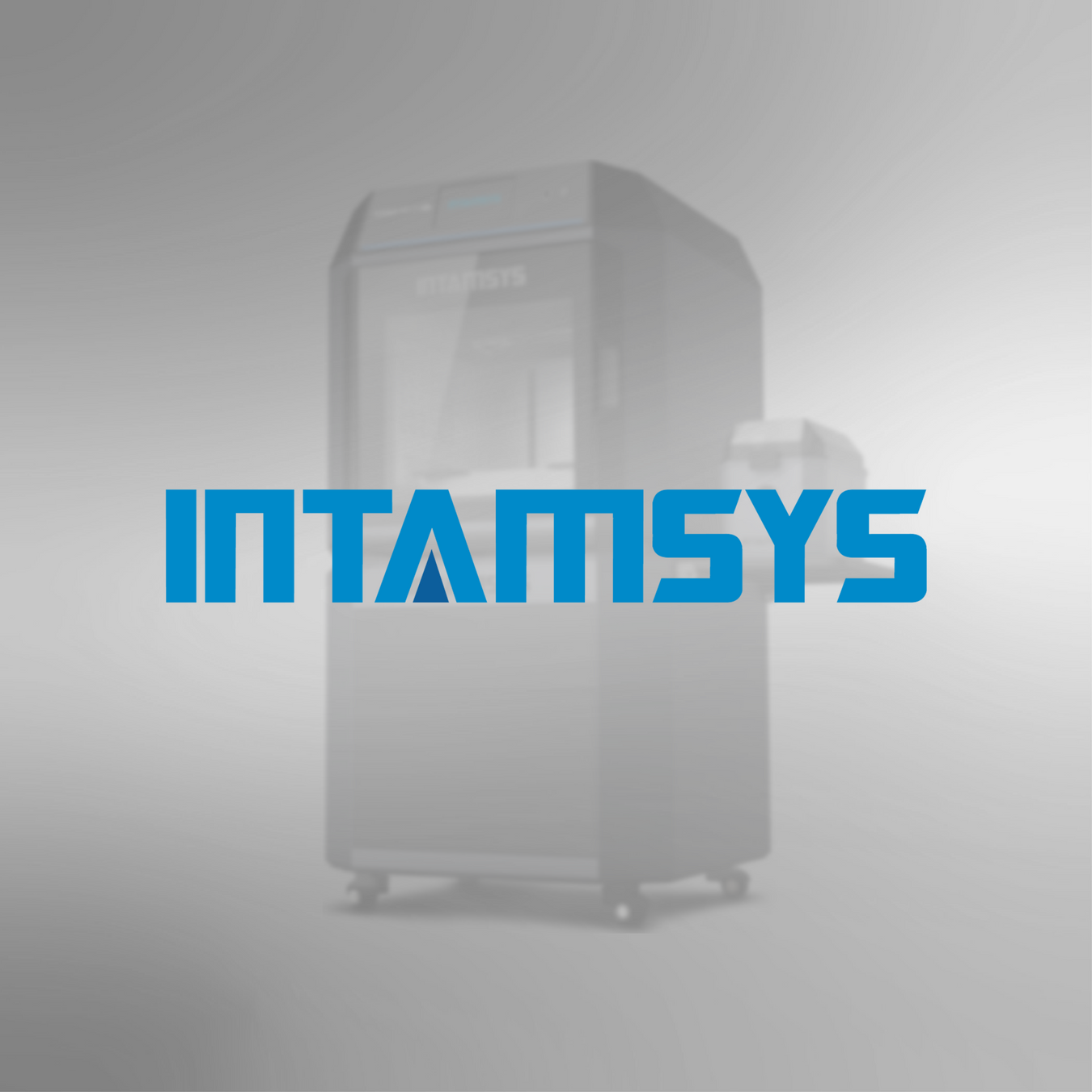 Intamsys